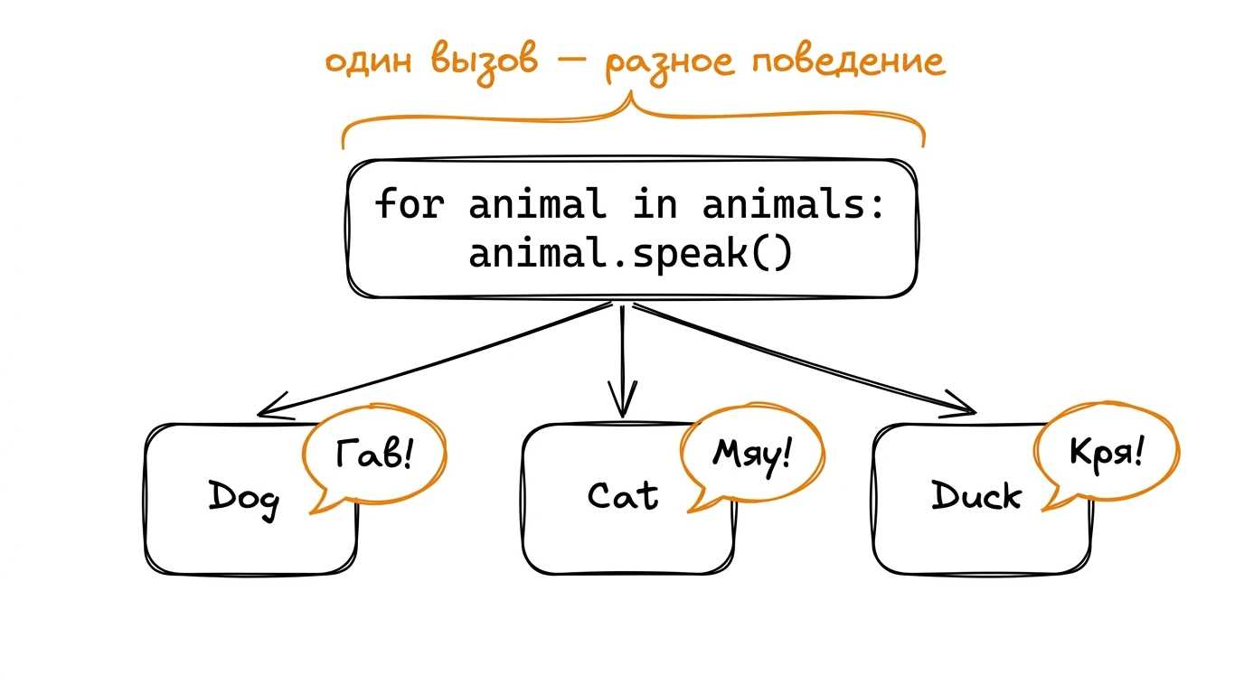 Один вызов — разное поведение для разных классов Иллюстрация: цикл for animal in animals: animal.speak() в центре, от него три стрелки к трём объектам — Dog (выдаёт Гав!), Cat (выдаёт Мяу!), Duck (выдаёт Кря!). Подпись наверху: один вызов, разное поведение